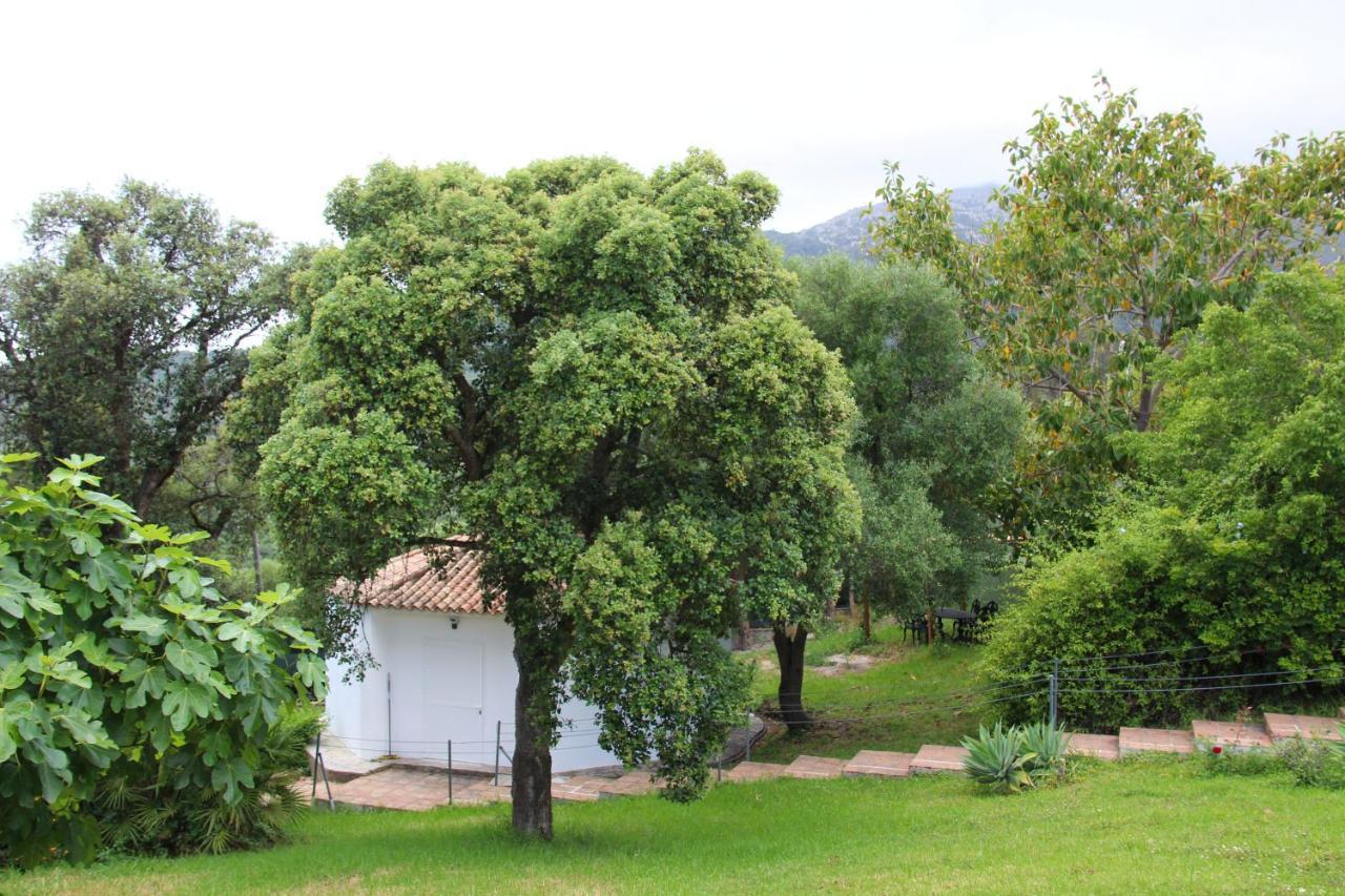 Finca El Campo Algeciras Zewnętrze zdjęcie